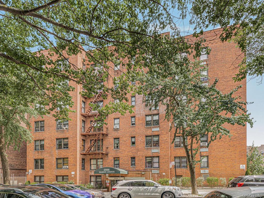 Coop Marion  Bronx, NY 10458, MLS-H6260377-9