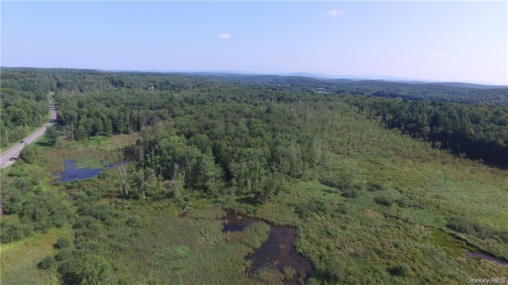 Land Heiden  Sullivan, NY 12733, MLS-H6212378-9