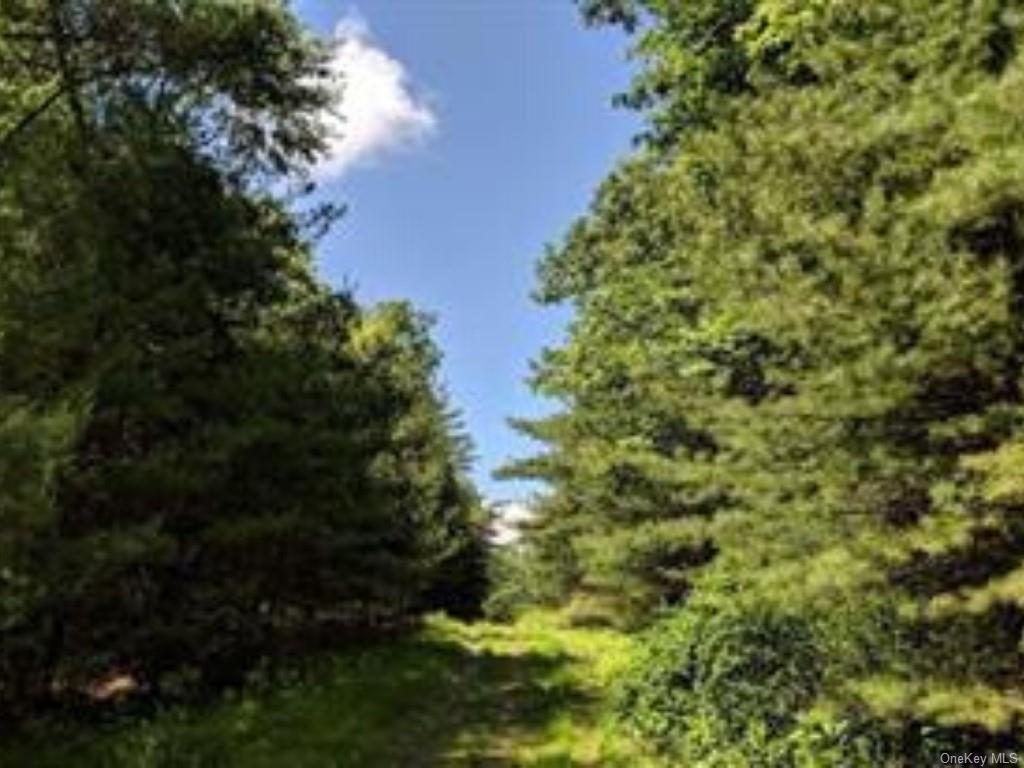 Land Taras Shevchenko Rd/elle  Sullivan, NY 12737, MLS-H6228378-9