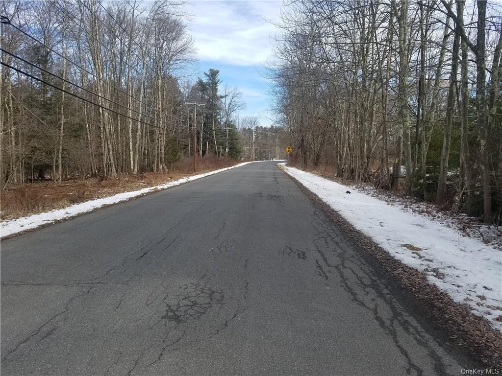 Land Lanahan  Sullivan, NY 12701, MLS-H6239382-9