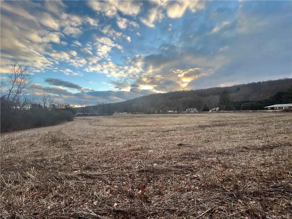 Land Route 22 Lot 1-4  Dutchess, NY 12522, MLS-H6267409-9