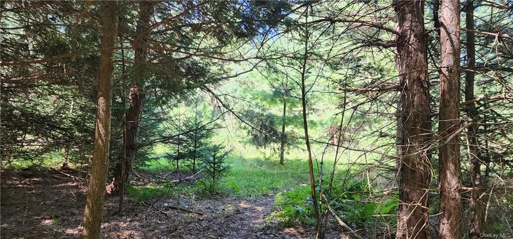 Land Katrina Falls  Sullivan, NY 12775, MLS-H6267421-9