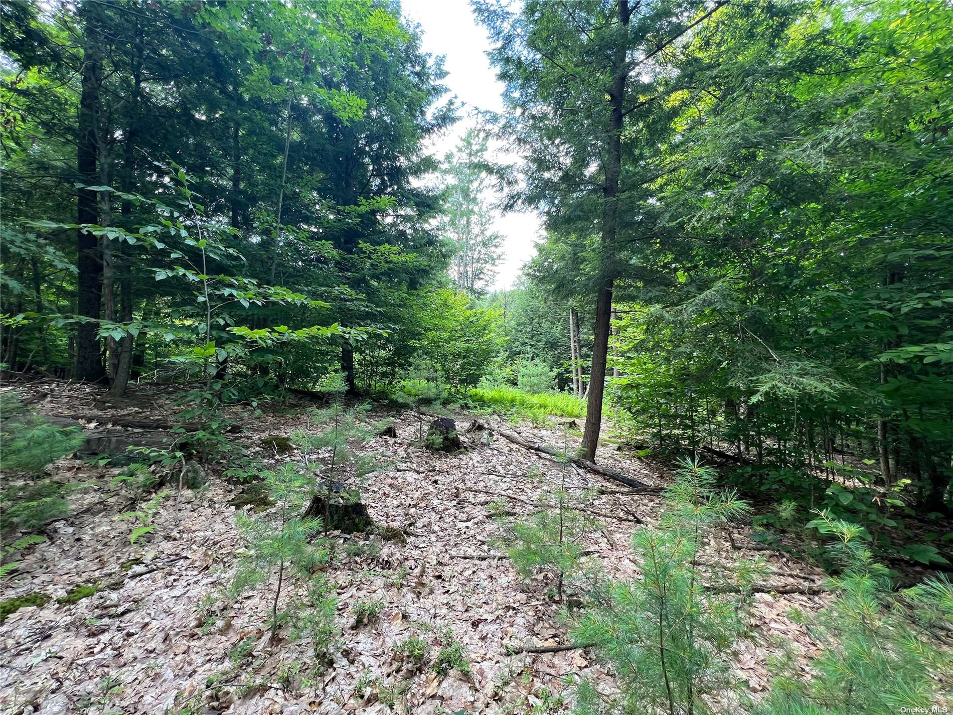 Land Shippee  Out Of Area, NY 12822, MLS-3481425-9