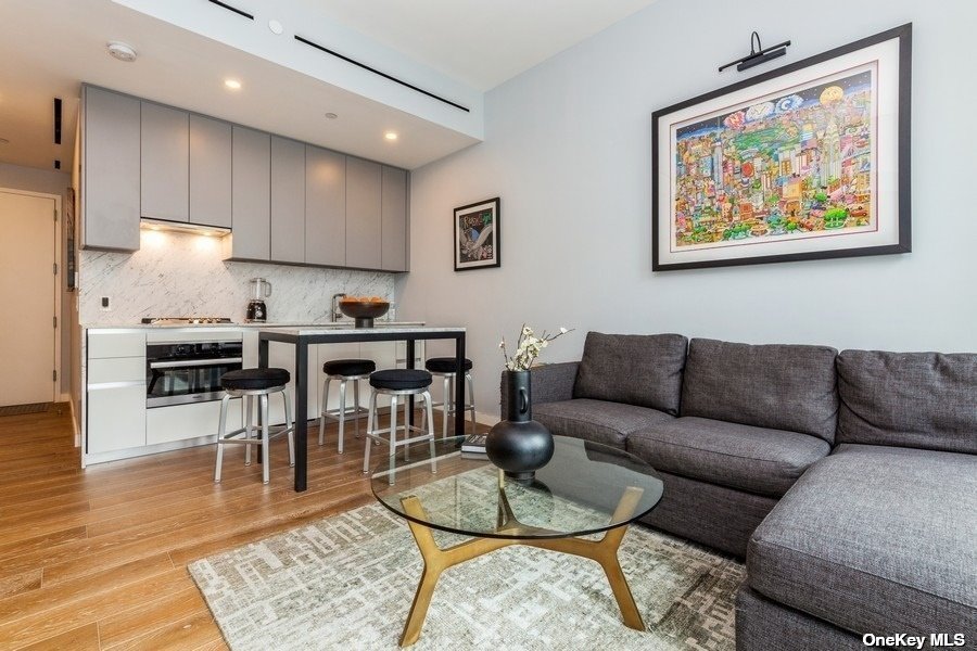 Condo East Houston  Manhattan, NY 10002, MLS-3497427-9