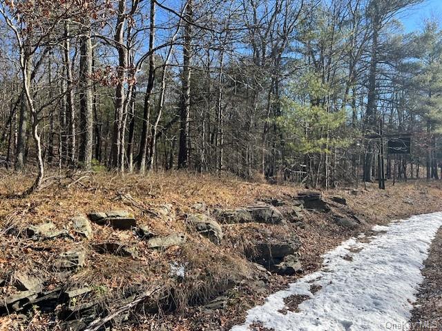Land Route 28a  Ulster, NY 12443, MLS-H6278433-9