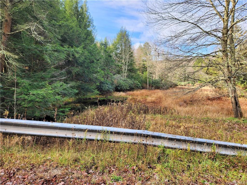 Land Hurd And Parks  Sullivan, NY 12720, MLS-H6219453-9