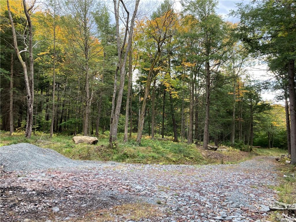 Land Kenoza  Sullivan, NY 12750, MLS-H6271468-9