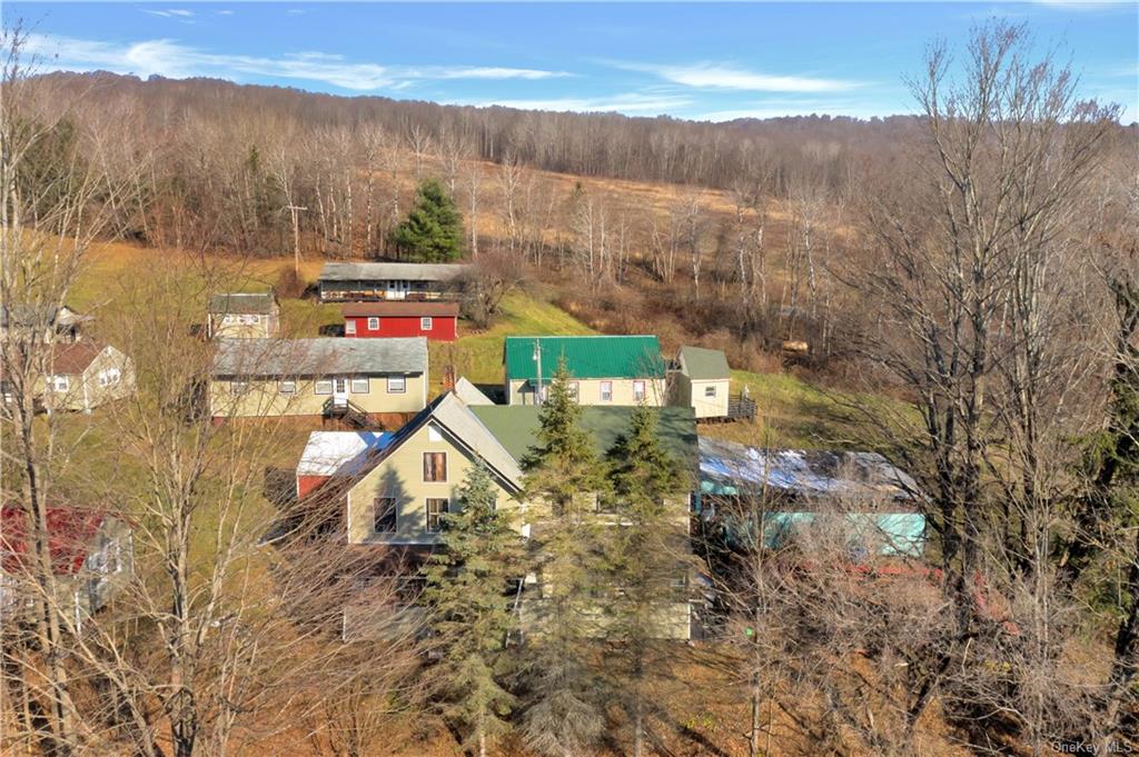 Commercial Sale Old Rte 17  Out Of Area, NY 13865, MLS-H6221490-9
