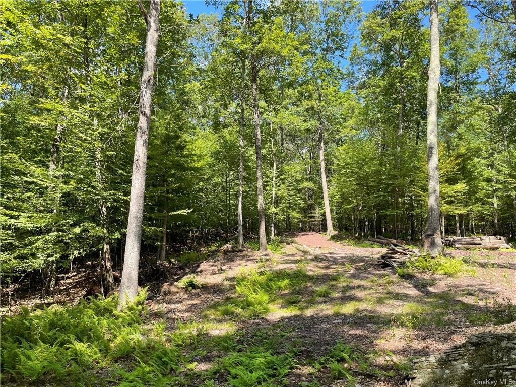 Land Naomi Dr / State Route 97  Sullivan, NY 12726, MLS-H6267505-9