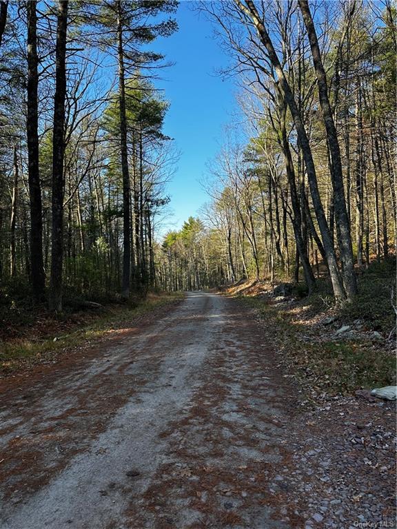 Land Hartwood  Sullivan, NY 12777, MLS-H6239524-9