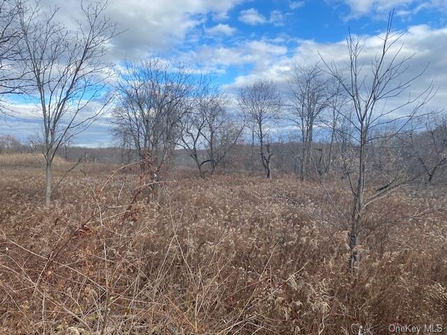 Land Us Highway 9w  Ulster, NY 12528, MLS-H6279528-9