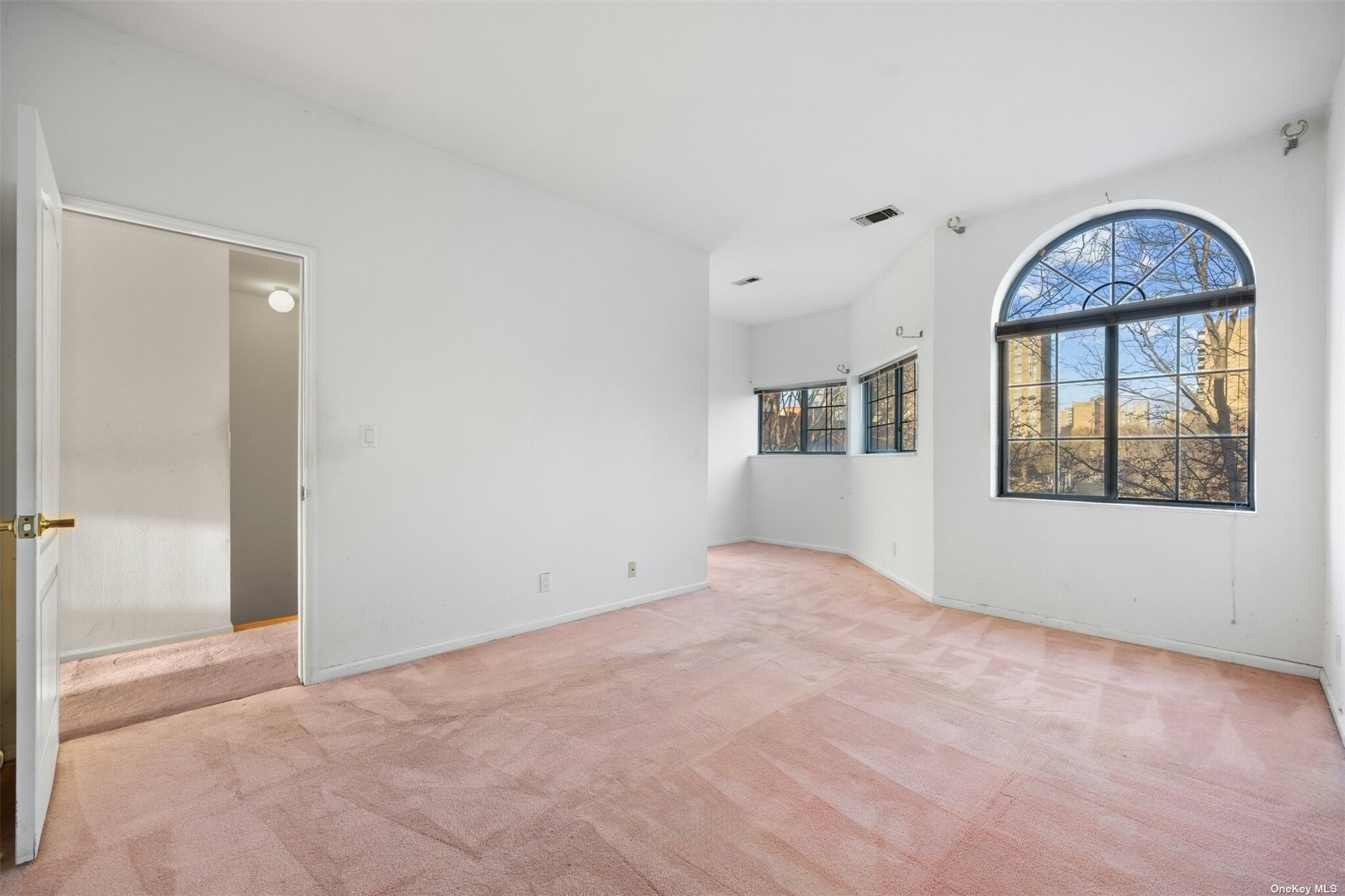 Condo Louisiana  Brooklyn, NY 11239, MLS-3519557-9