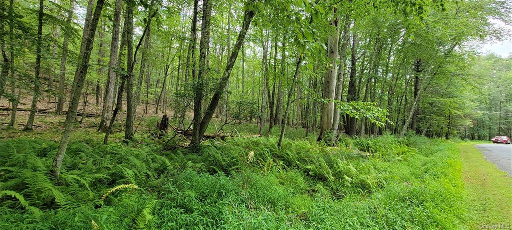 Land Hawks Nest  Out Of Area, NY 18428, MLS-H6265593-9