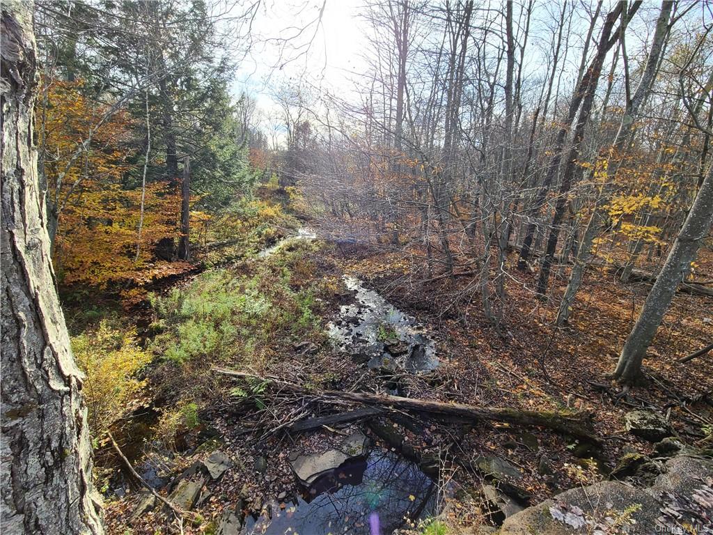 Land Beaver Lake  Sullivan, NY 12758, MLS-H6232604-9