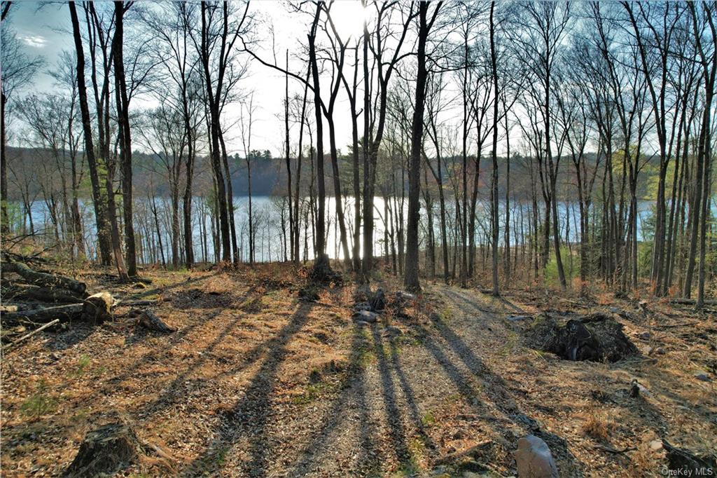 Land Plank  Sullivan, NY 12777, MLS-H6266634-9