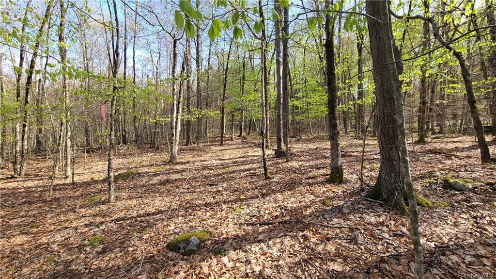 Land Lakeshore  Sullivan, NY 12778, MLS-H6143640-9