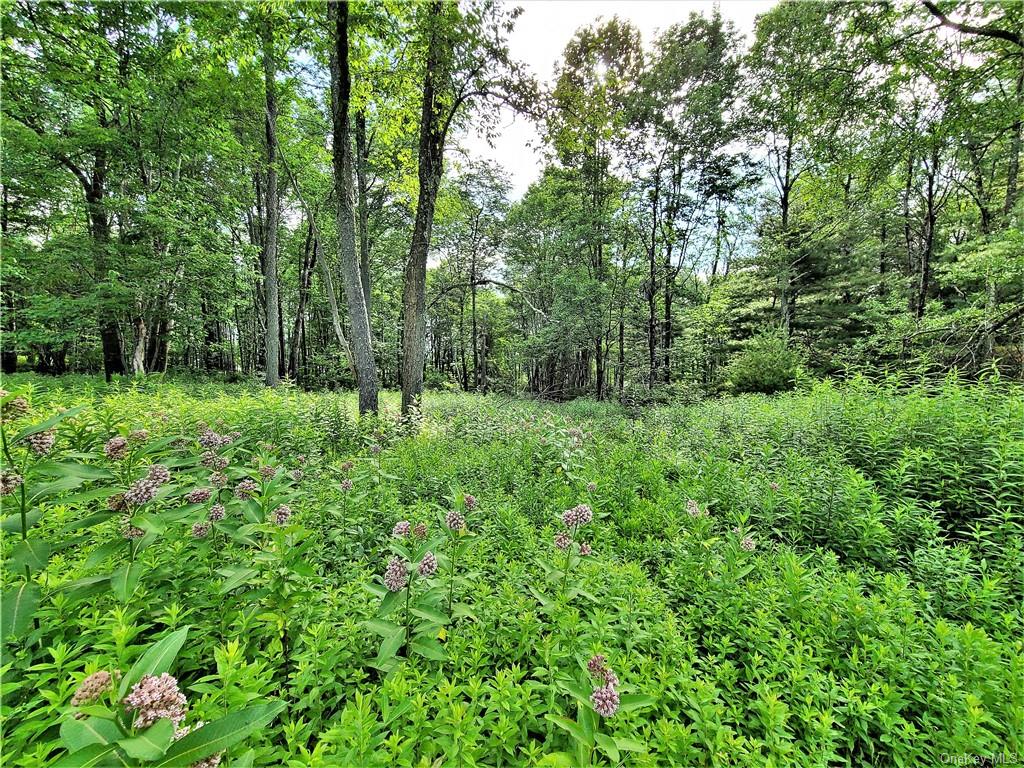 Land Mitchell  Sullivan, NY 12786, MLS-H6243649-9