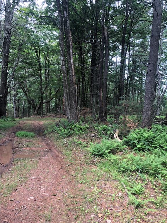 Land Old Tacy  Sullivan, NY 12720, MLS-H6261690-9