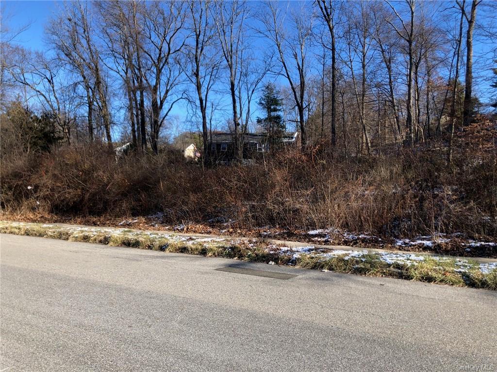 Land Front  Westchester, NY 10598, MLS-H6276695-9