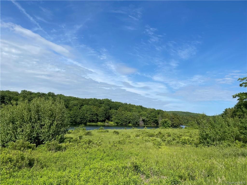 Land Tanzman  Sullivan, NY 12768, MLS-H6123698-9