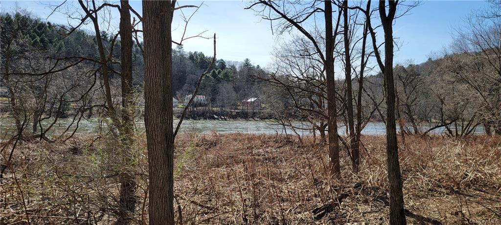 Land Cochecton  Sullivan, NY 12726, MLS-H6177700-9