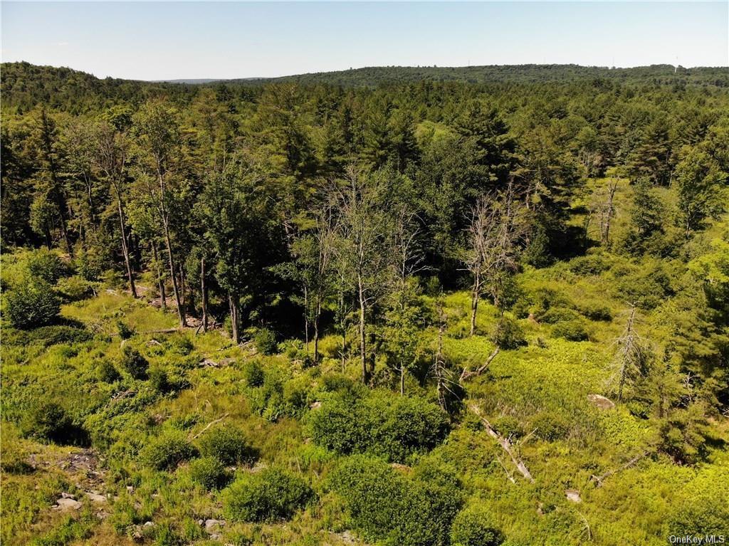 Land Nys Route 17b  Sullivan, NY 12701, MLS-H6273719-9