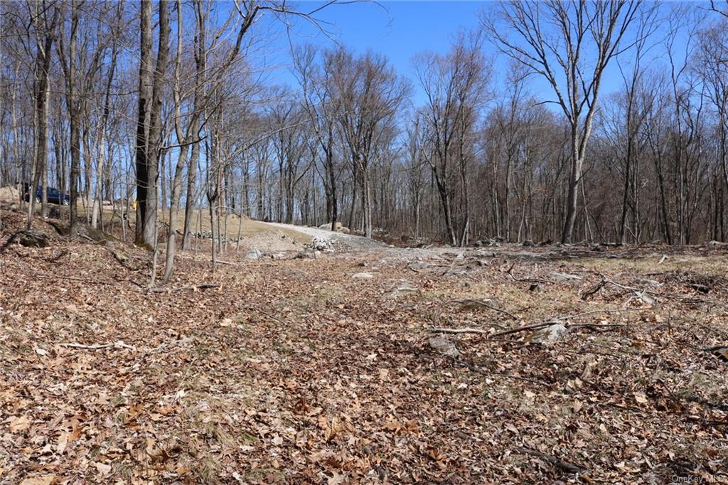 Land Lot 4 South Road  Dutchess, NY 12531, MLS-H6240725-9