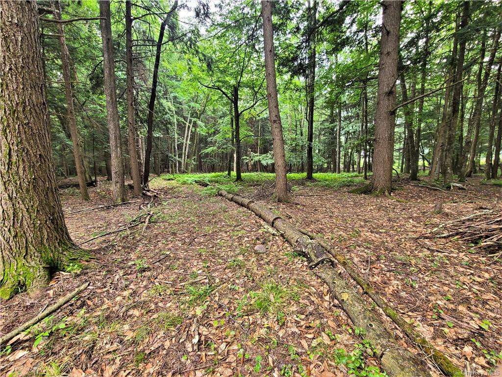 Land Goldsmith  Sullivan, NY 12783, MLS-H6258729-9