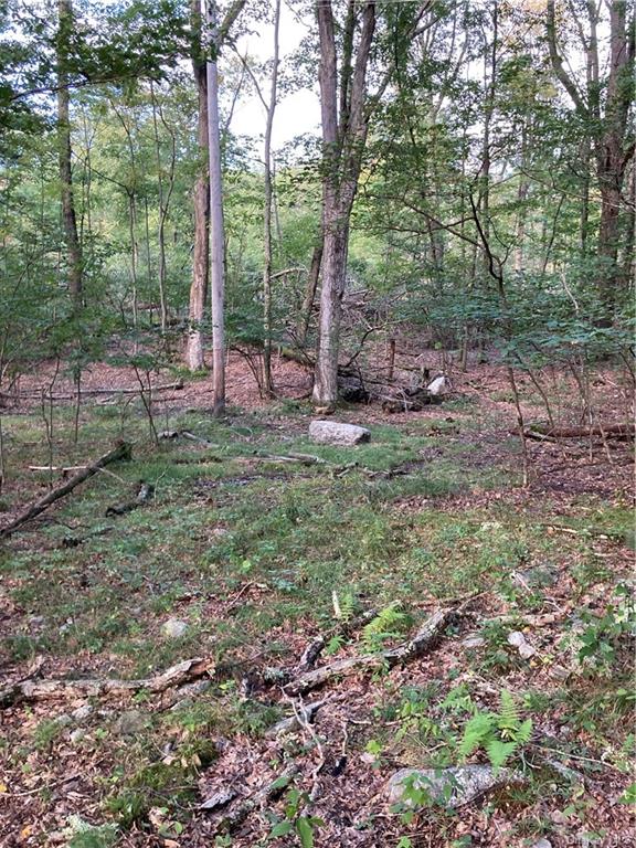 Land Route 52  Ulster, NY 12489, MLS-H6271730-9