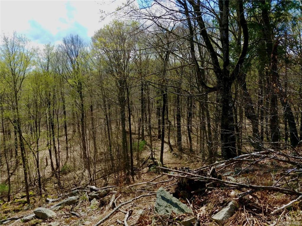 Land Shandelee  Sullivan, NY 12758, MLS-H6279768-9