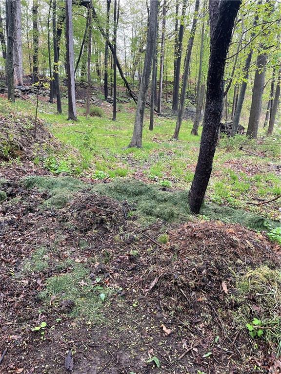 Land Front  Westchester, NY 10598, MLS-H6244777-9