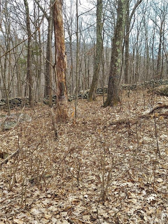 Land Grape Hollow  Dutchess, NY 12531, MLS-H6241803-9