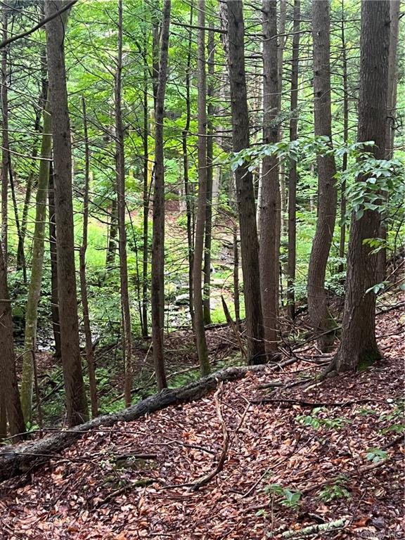 Land Big Hollow  Sullivan, NY 12765, MLS-H6256806-9