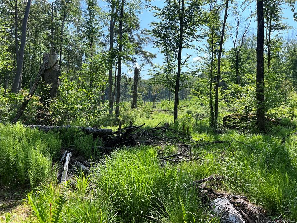 Land Gables  Sullivan, NY 12764, MLS-H6252813-9