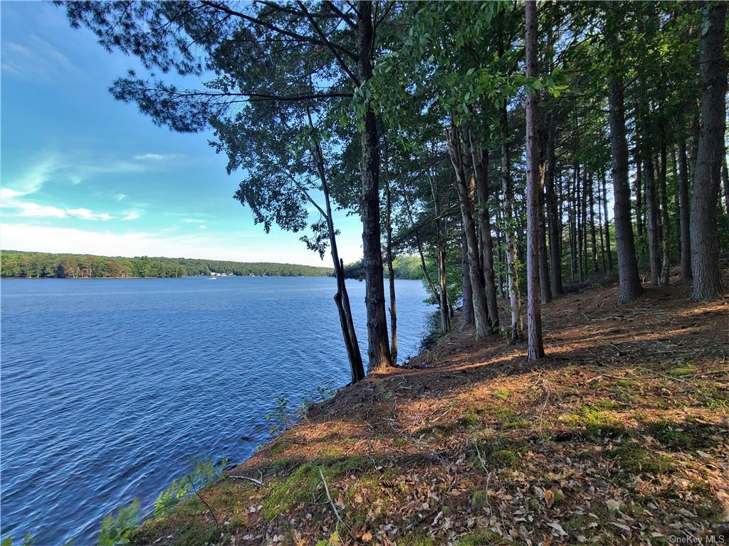 Land Woodstone  Sullivan, NY 12786, MLS-H6267818-9