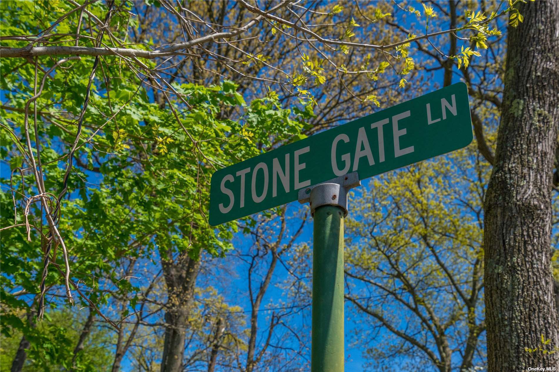 Land Stone Gate  Nassau, NY 11545, MLS-3445842-9