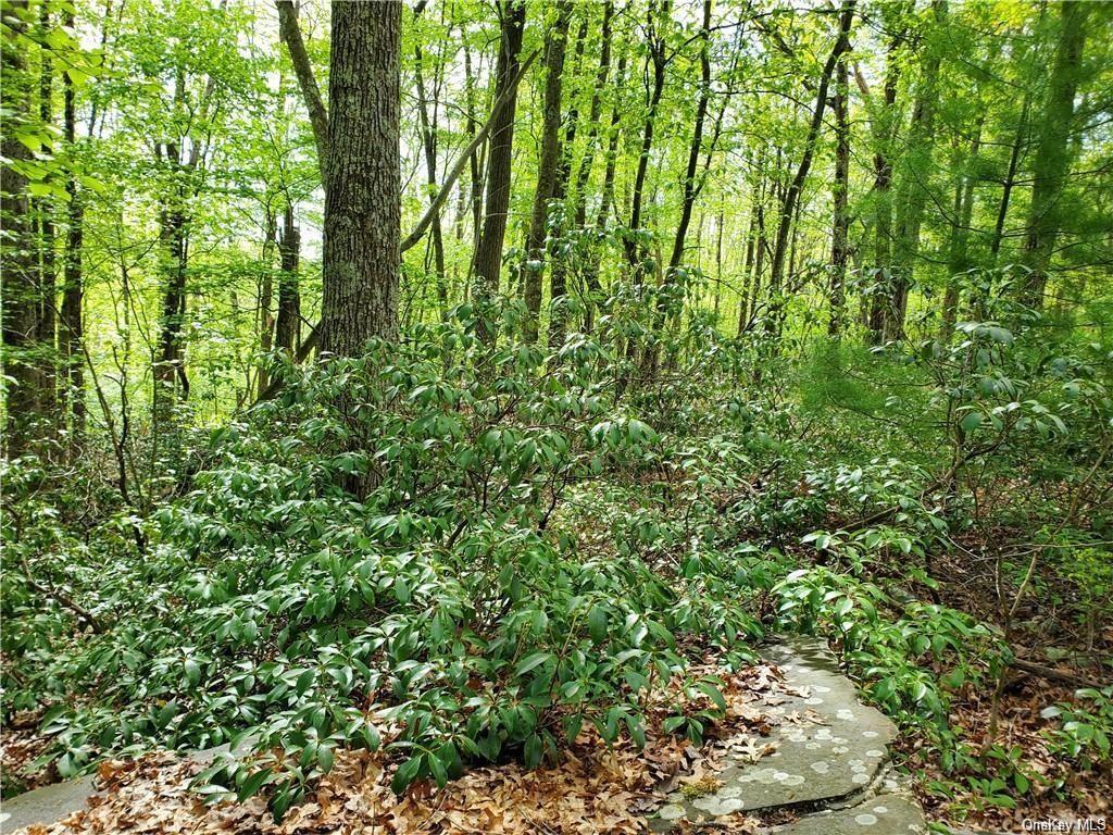 Land Mount Vernon  Sullivan, NY 12790, MLS-H6274851-9