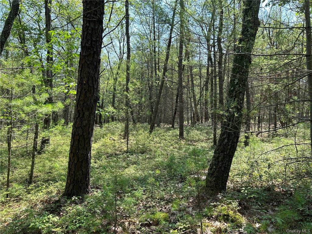 Land Clendening  Ulster, NY 12484, MLS-H6259859-9