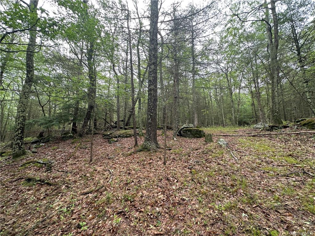 Land State Route 55  Sullivan, NY 12719, MLS-H6256862-9