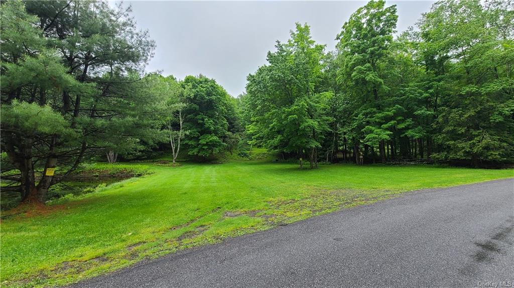 Land Dingle Daisy  Sullivan, NY 12701, MLS-H6204867-9