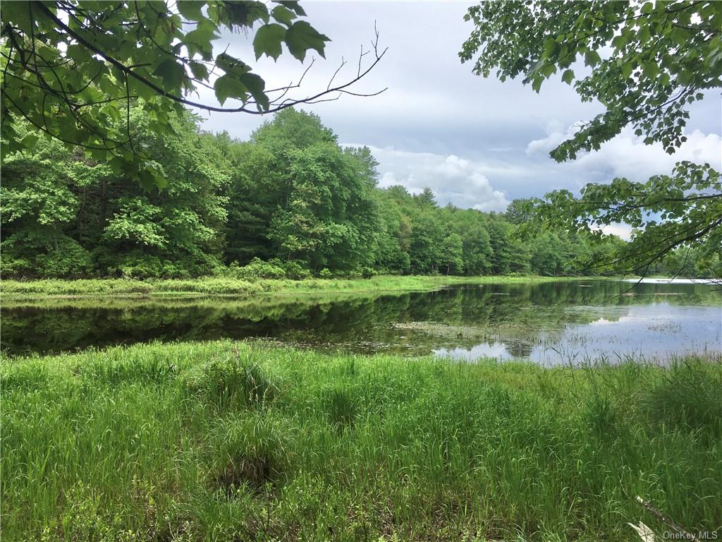 Land Cty Hwy 141 - Horseshoe Lake Rd Lots 10.7 & 10.9  Sullivan, NY 12720, MLS-H6240873-9