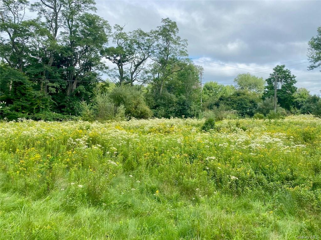 Land Moscoe  Sullivan, NY 12720, MLS-H6241893-9