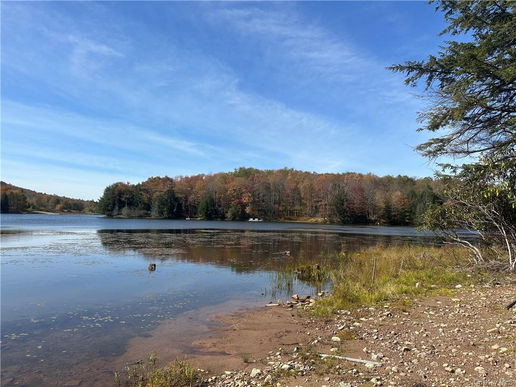 Land Eagles Ridge  Sullivan, NY 12768, MLS-H6271898-9