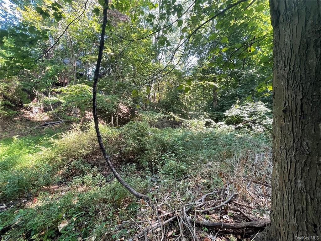 Land Kings Ferry  Westchester, NY 10596, MLS-H6239918-9