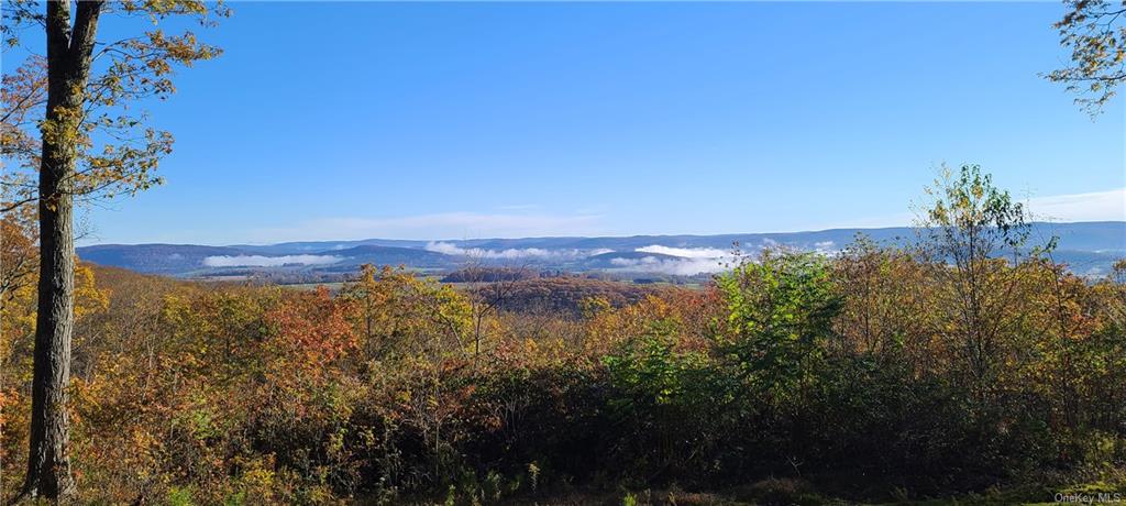 Land Cascade  Dutchess, NY 12501, MLS-H6176942-9