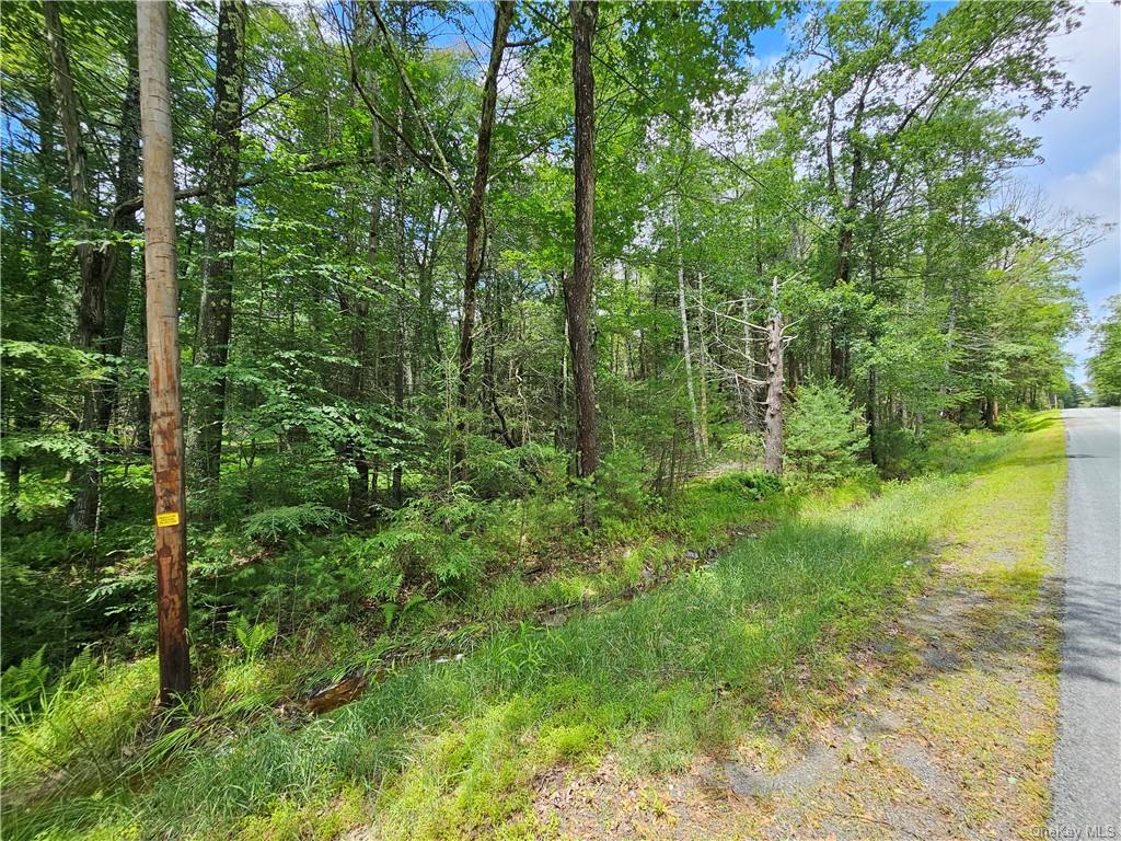 Land Barker/rowley  Sullivan, NY 12528, MLS-H6257962-9