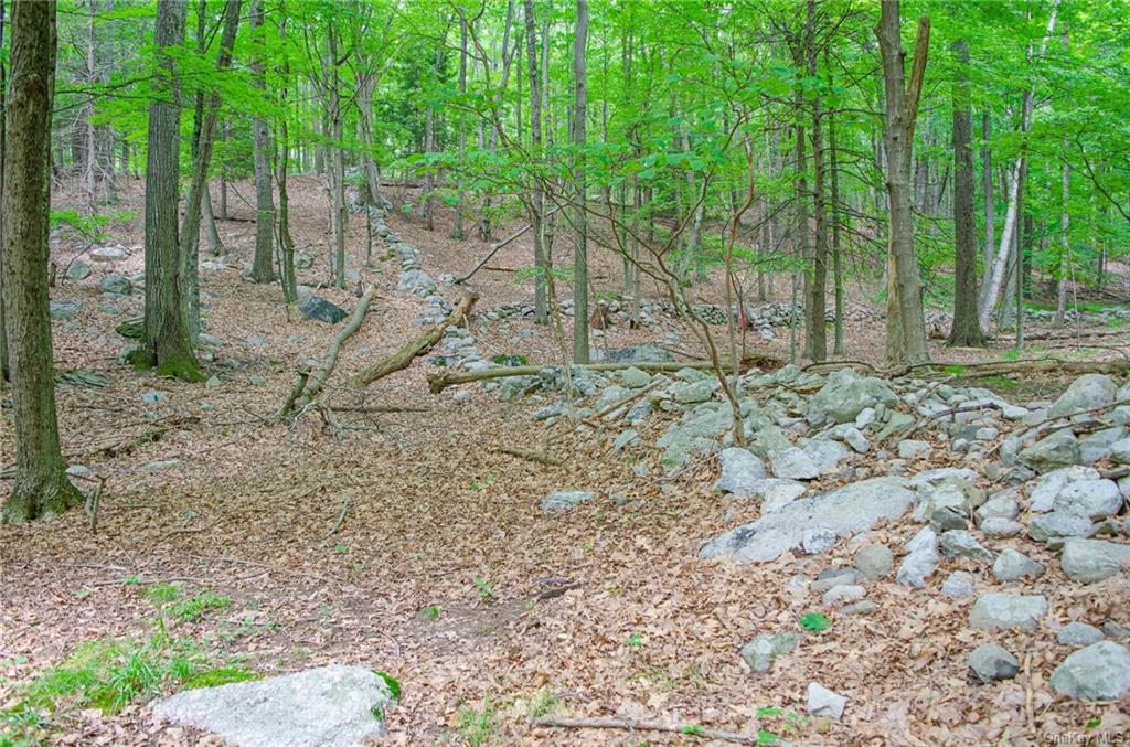 Land Mountain  Ulster, NY 12525, MLS-H6197967-9