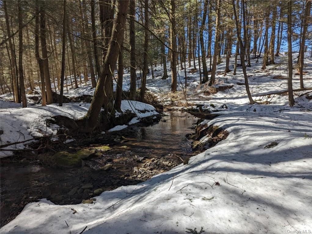 Land Likel  Sullivan, NY 12748, MLS-H6238970-9