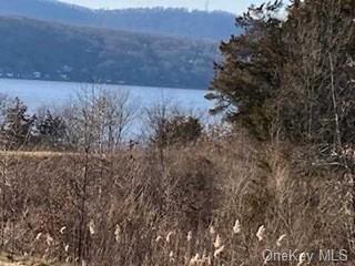 Land Mill  Dutchess, NY 12572, MLS-H6279982-9