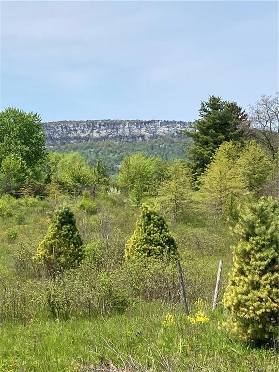 Land Mountain  Ulster, NY 12525, MLS-H6240983-9